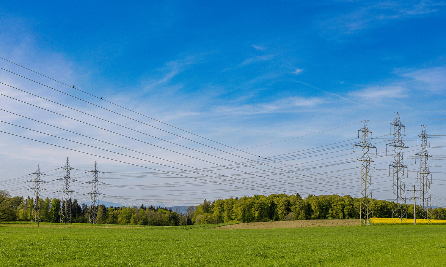 Stromleitungen über Wald und Wiese